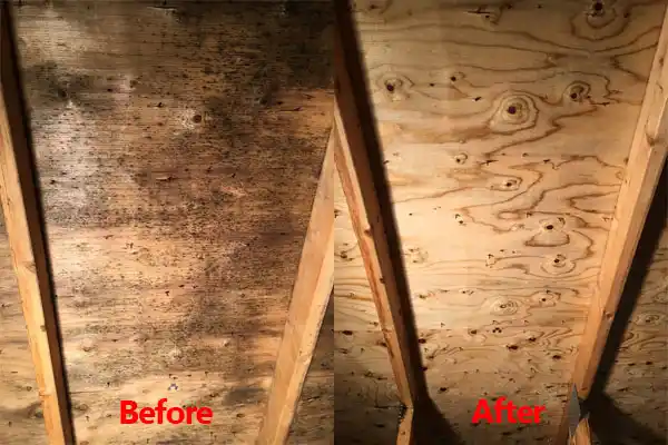 water damage restoration service Port Washington North